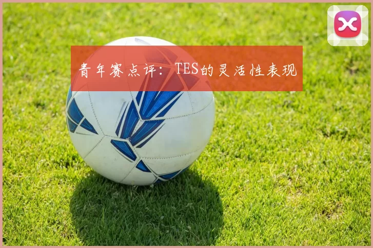 青年赛点评：TES的灵活性表现