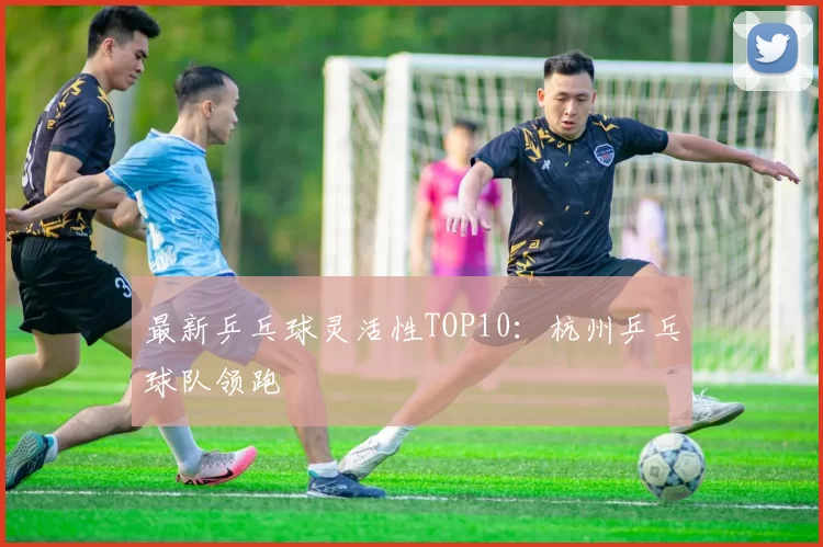 最新乒乓球灵活性TOP10：杭州乒乓球队领跑