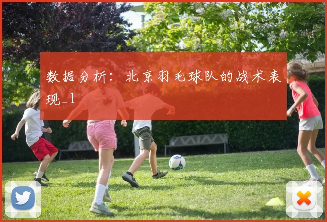 数据分析：北京羽毛球队的战术表现_1