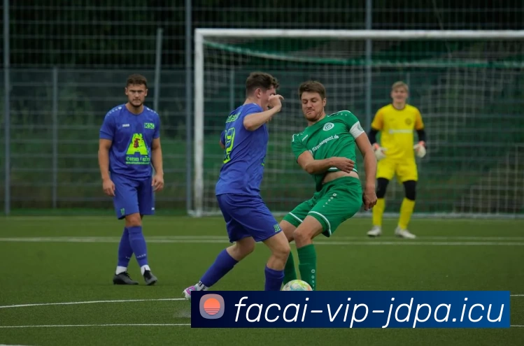 App Interface Preview