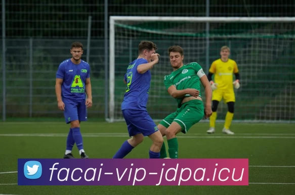 乐鱼体育APP 封面图